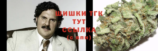сатива Арсеньев