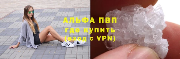 сатива Арсеньев