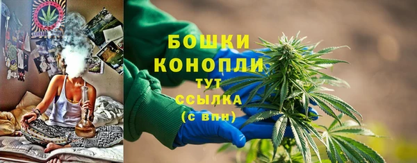 сатива Арсеньев