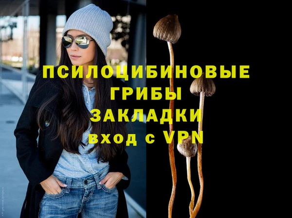 тгк Армянск